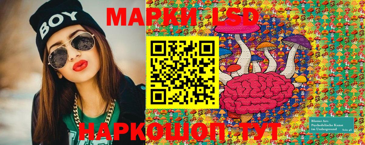 Наркотические марки 1,8мг  Вход с VPN  Лесозаводск  цены наркотик  Наркотические марки 1,8мг 