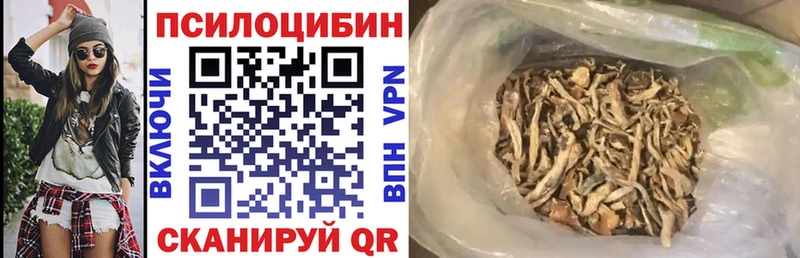 наркошоп  Лесозаводск  Псилоцибиновые грибы мицелий 